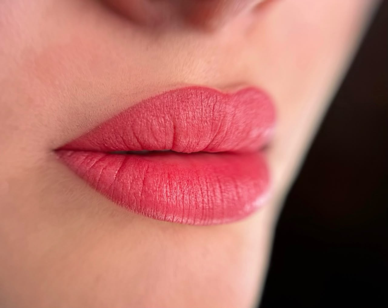 Lip Blush — Rose